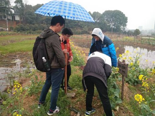 m1521007948658678.jpg 2018-03-13 .jpg