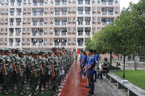 m1536764921285711.jpg 1.JPG