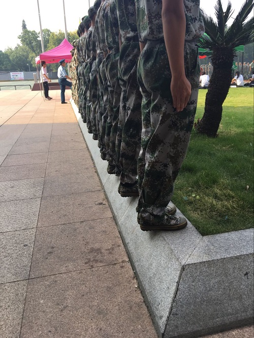 m1536762123324633.jpg 2.jpg